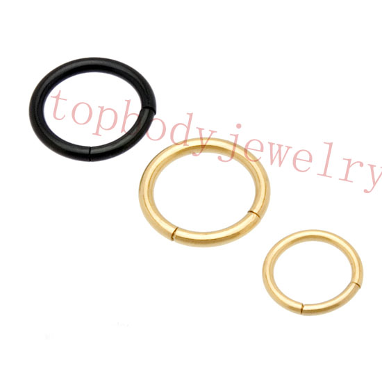 Titanium Segment Ring